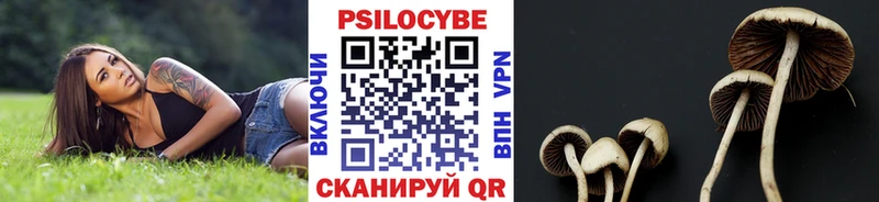 ссылка на мегу ССЫЛКА  Алексин  Галлюциногенные грибы прущие грибы  что такое  
